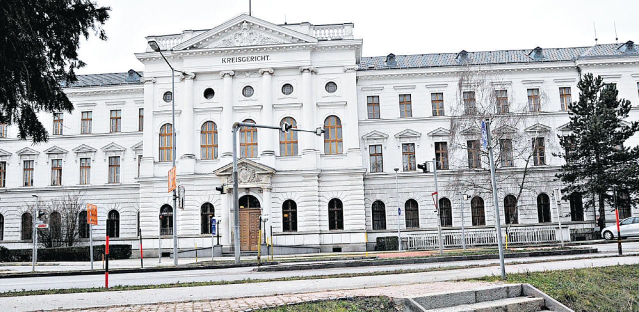 Der Anwalt des Angeklagten spricht von Totschlag, nicht von Mord.