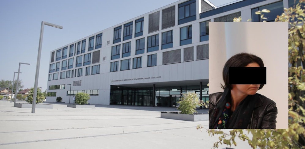 Die schöne Venusfalle musste in Korneuburg auf die Anklagebank.