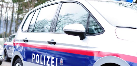 Die Kärntner Polizei zeigte die vier Burschen an. 
