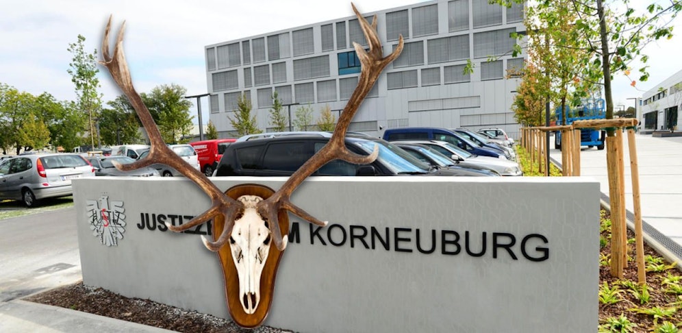 Das Justizzentrum Korneuburg und ein Hirschgeweih. 