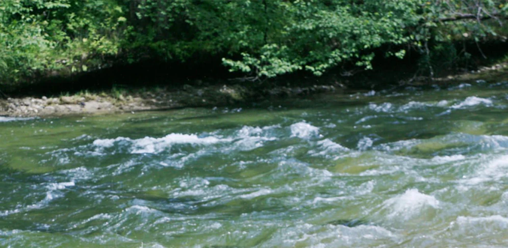 "Es wird davon ausgegangen, dass der 64-Jährige, als er zur Koppentraun hinabsteigen wollte, ausrutschte, in den Fluss stürzte und aufgrund der derzeit herrschenden Wassermassen samt Treibholz mitgerissen wurde", so die Polizei.
