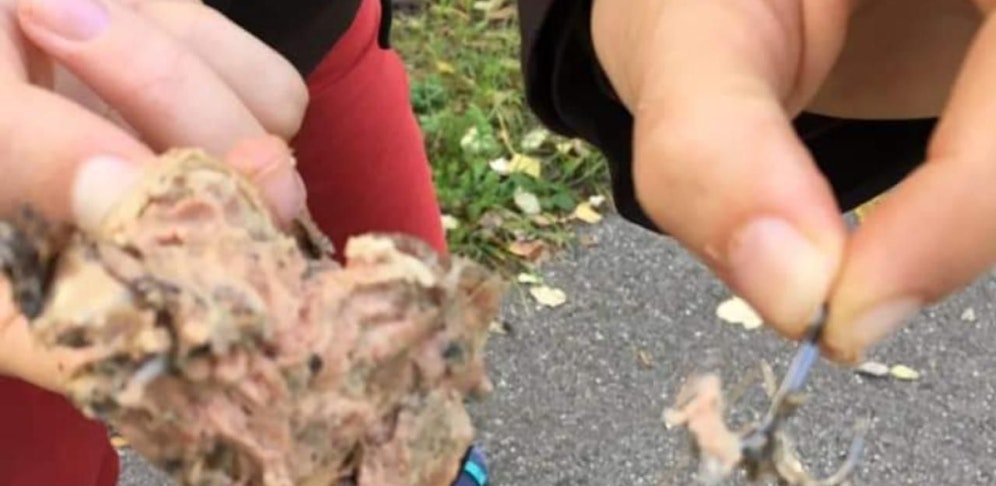 In Abwinden in Luftenberg bei Linz hat ein Unbekannter einen Köder mit einem Angelhaken ausgelegt. 