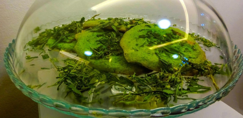 Die vier Mädchen verputzten Haschkekse und unterschätzten die Wirkung