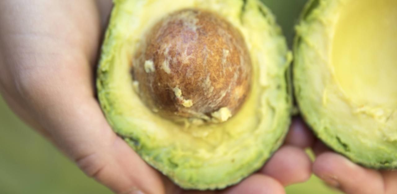 Die volle Avocado-Power! Auch für die Haut ein absoluter Glücksfall. Einfach eine überreife Avocado zu einem Brei zermatschen und auftragen.&nbsp;