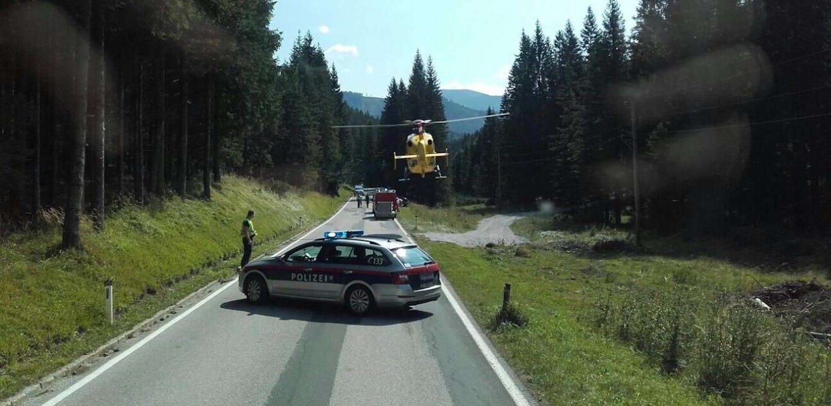 Biker prallte frontal in Straße querenden Hirsch