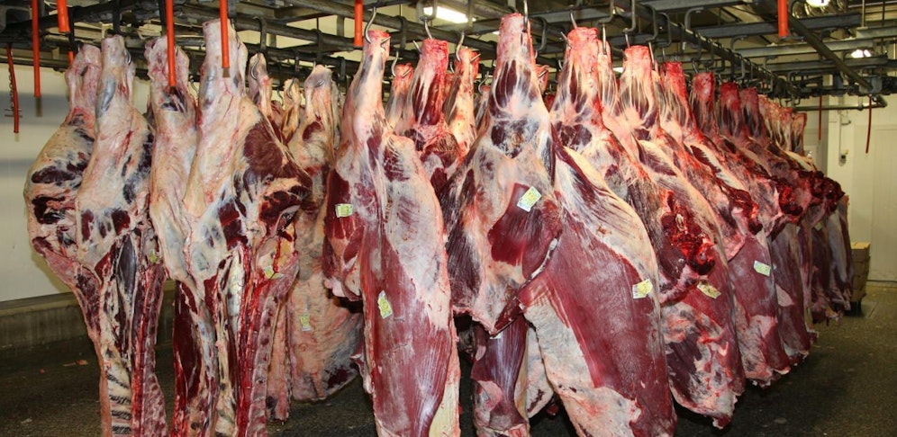 Die Ratifizierung des Handelsabkommens der EU mit den südamerikanischen Mercosur-Ländern wackelt. 