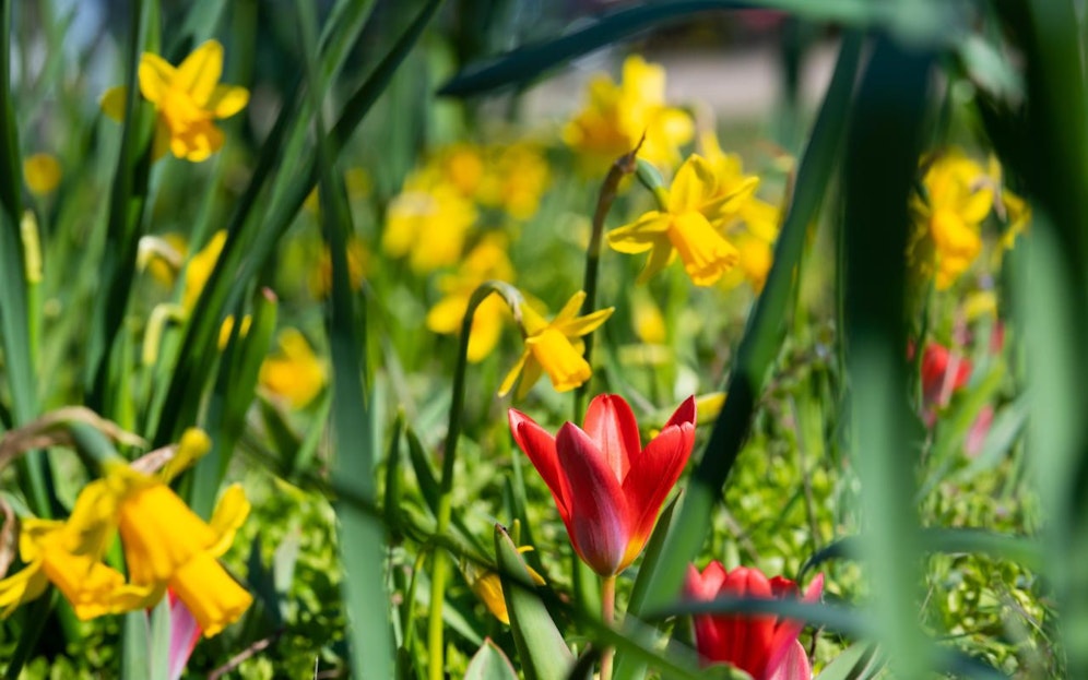 Viel Sonnenstrahlen bringt das Wetter dieses Wochenende in Niederösterreich .