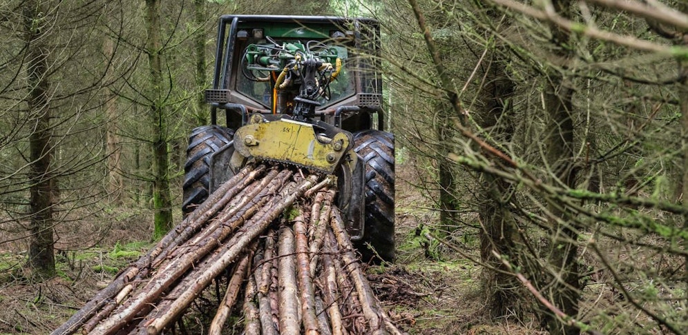 Ein Steirer starb bei Holzarbeiten. (Symbolfoto)