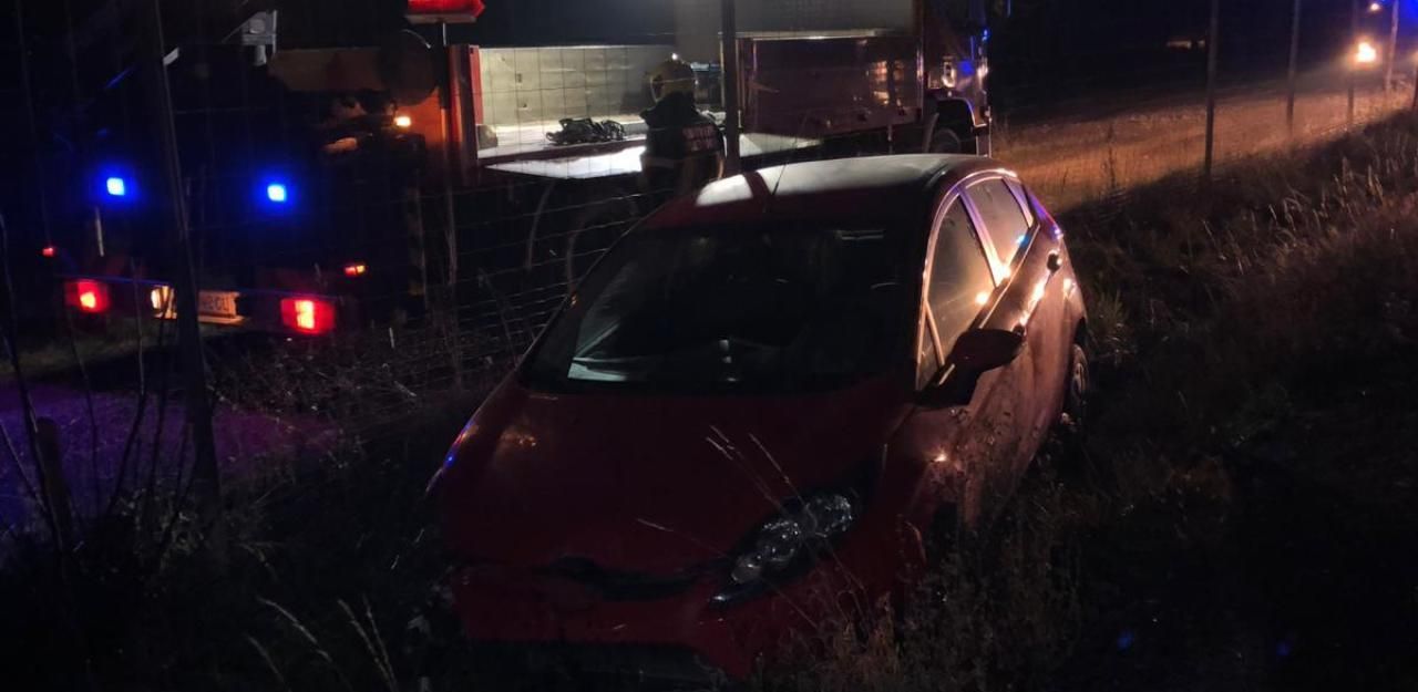 Heute.at - Ziege auf S3 unterwegs: Pkw kracht in Nutztier