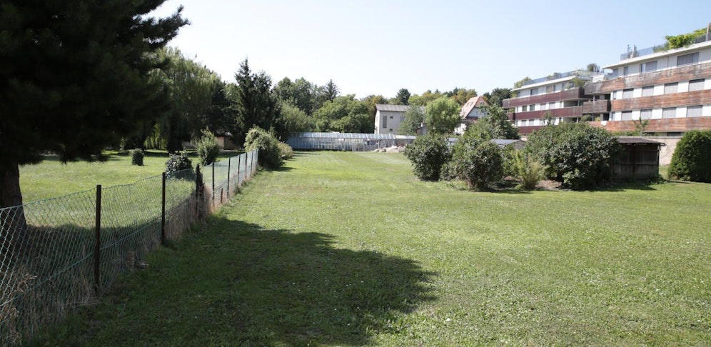 Anrainer fürchten, dass am Fuße des Wilhelminenbergs etwa 250 Wohnungen gebaut werden sollen.