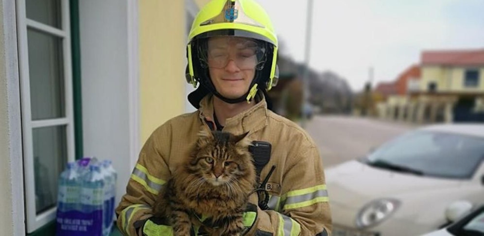 Die Katze mit ihrem Retter.