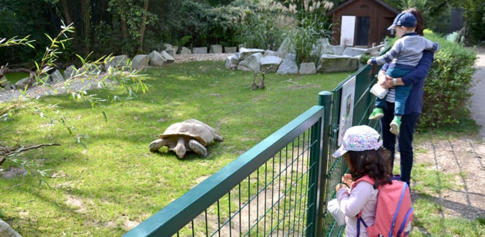 Wer im Linzer Zoo in den Job des Tierwärters "hineinschnuppern" will, muss 70 Euro zahlen.