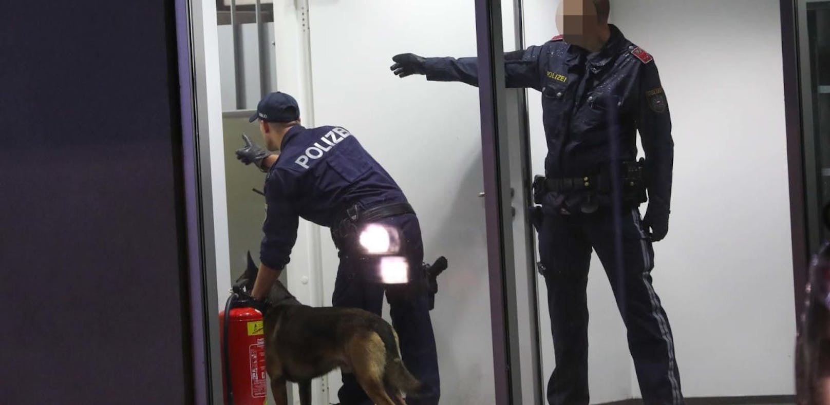 Polizisten durchsuchen nach einem Einbruch mit Hunden das Firmengebäude in Wels.
