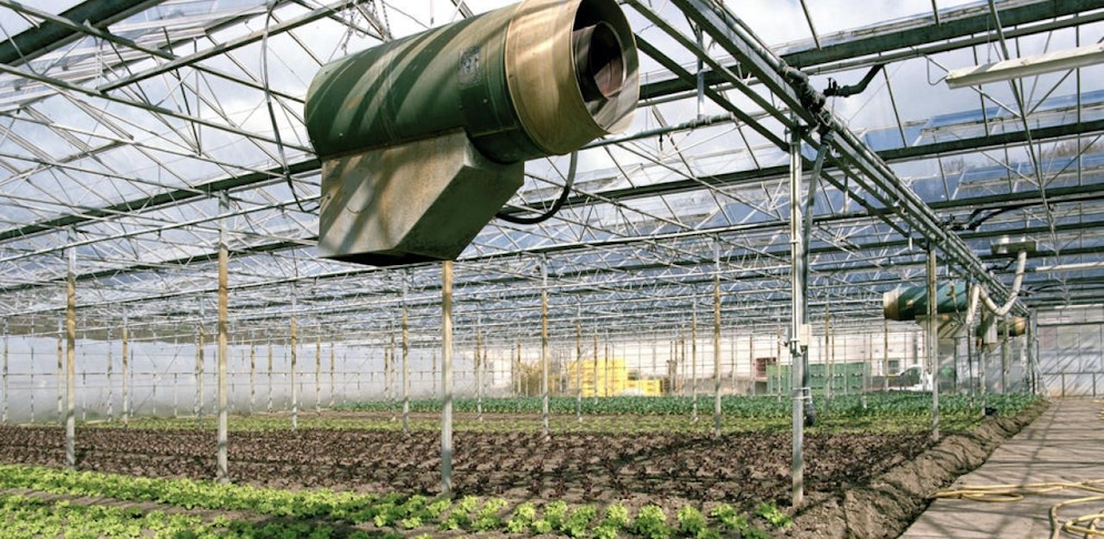 Statt Glashäusern wachsen in Wien Wohnhäuser.