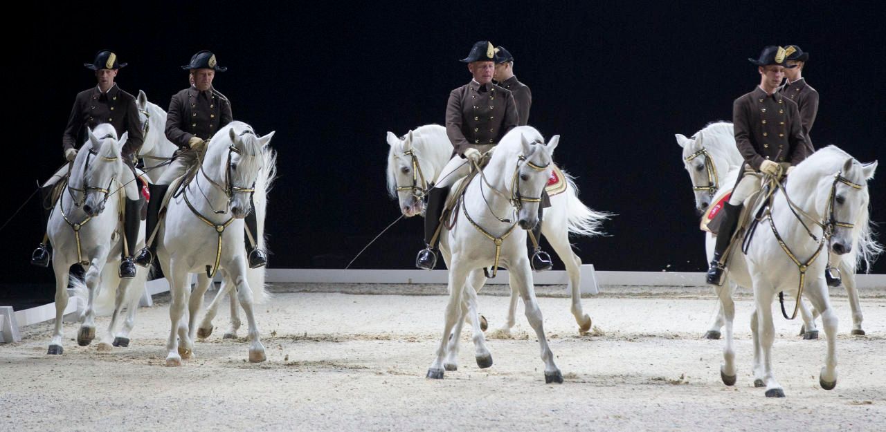 Die spanische Hofreitschule habe unter aktueller Führung drastisch an Qualität eingebüßt, bemängeln Kritiker.