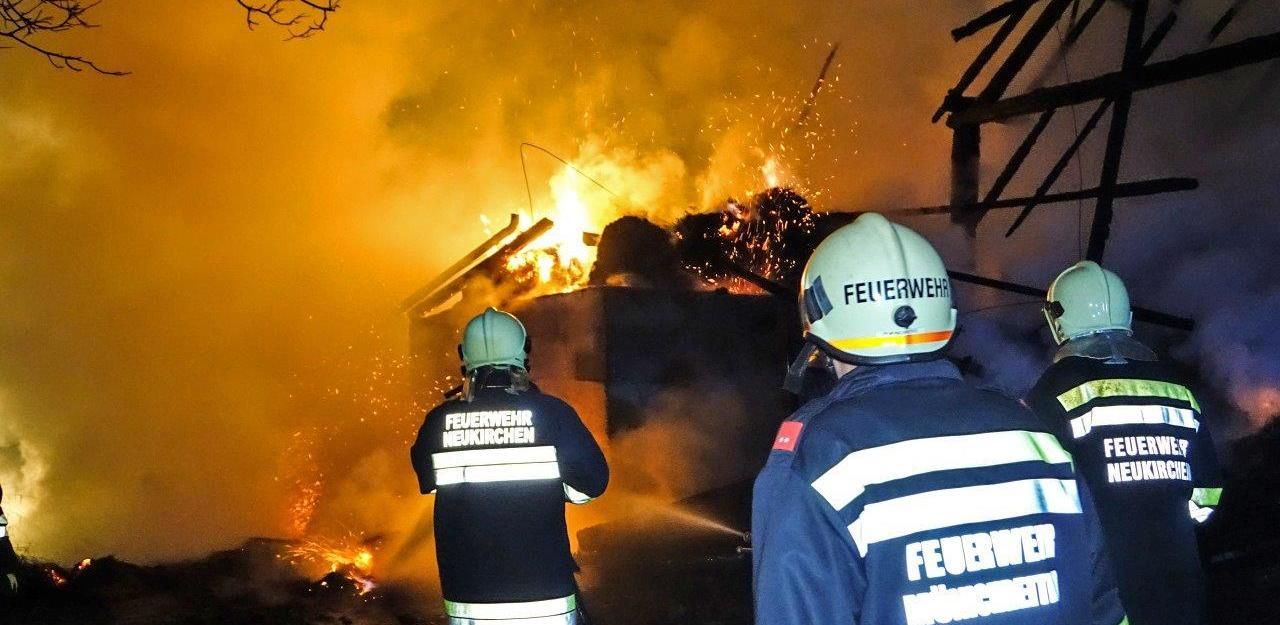 Heute.at - Stall niedergebrannt: Rinder rechtzeitig gerettet