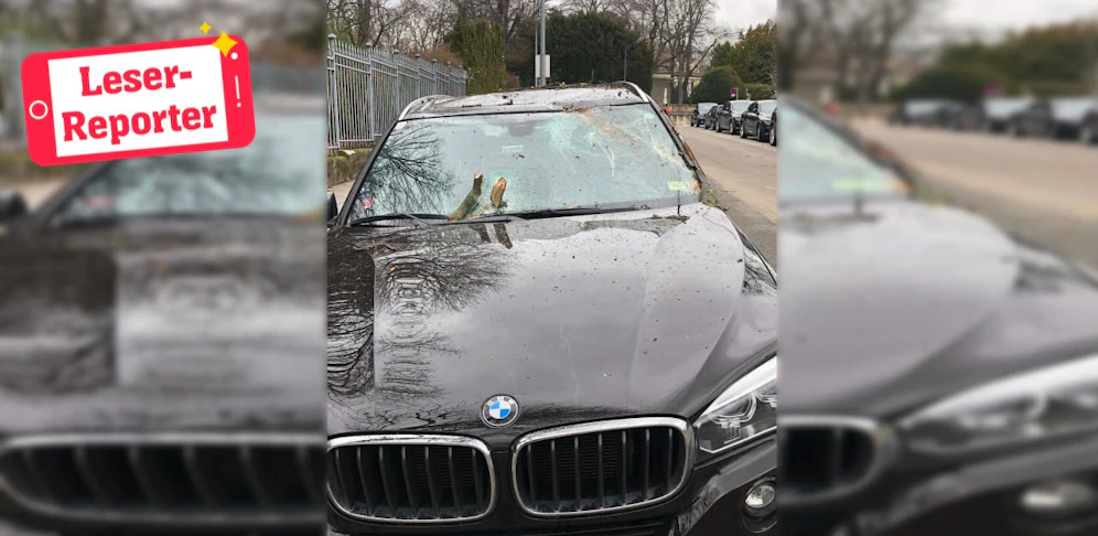In der Silbergasse spießte ein Ast einen BMW X5 auf.