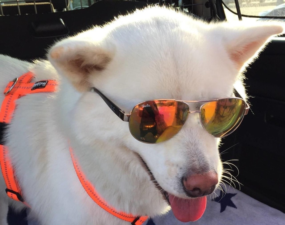 Achi cool mit Sonnenbrille Heidemarie Hofstetter