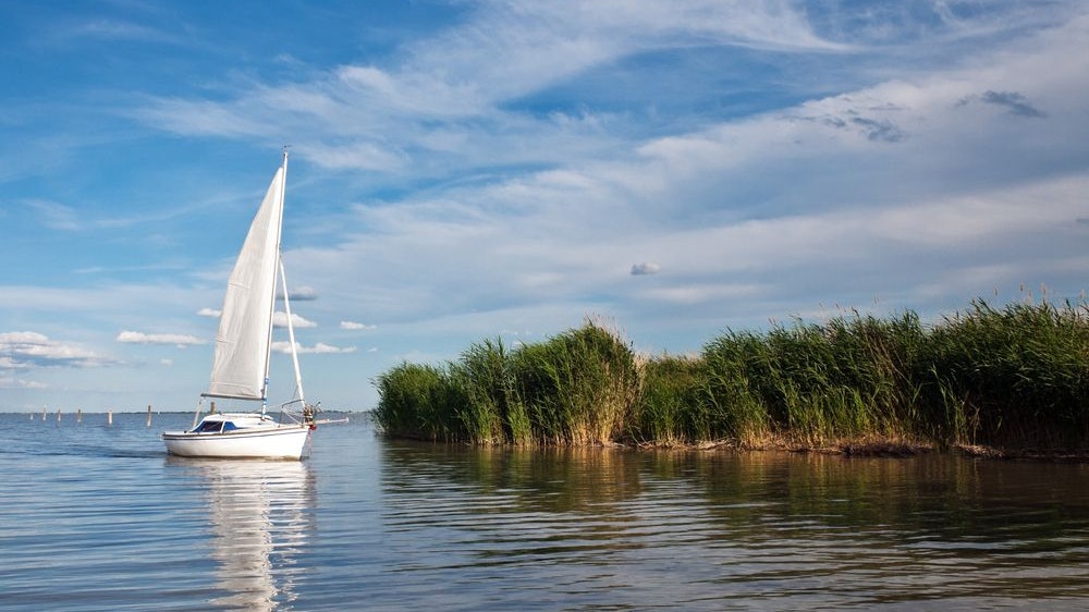 Heute.at - Verregneter Sommer füllte Neusiedler See auf