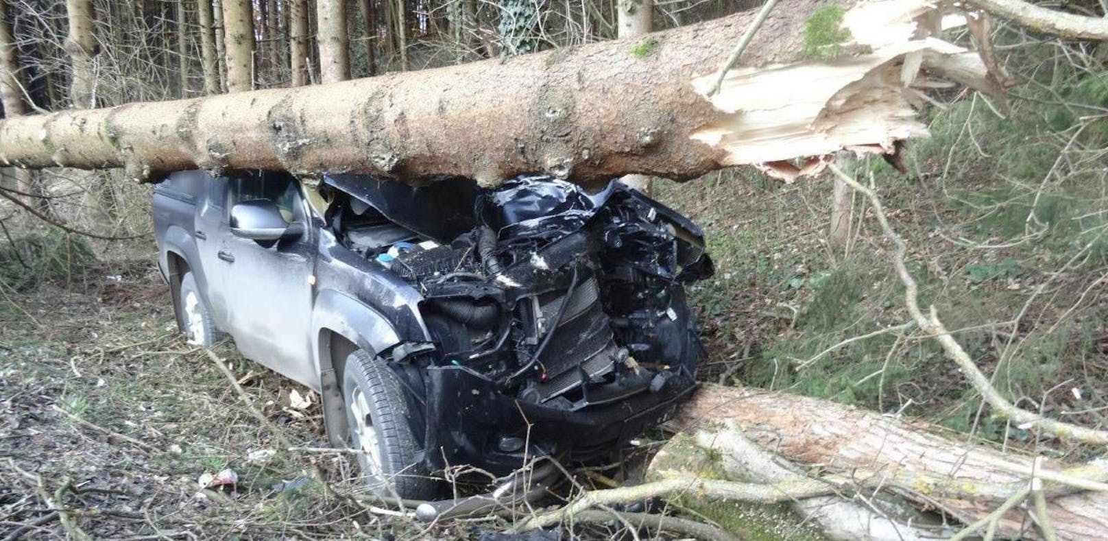 Baum stürzt nach Alko-Crash auf Dach von Pickup