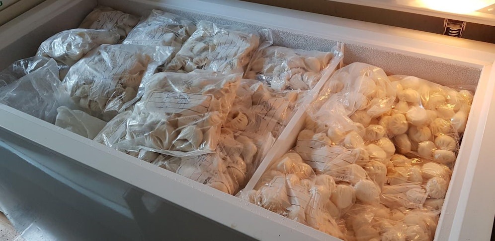 Erneut wurde in Wien eine illegale Teigtascherl-Produktion aufgedeckt. (Foto: Finanzpolizei).