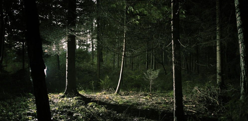 Ein 22-Jähriger verfolgte eine 19-Jährige und versuchte sie in einen Wald zu zerren.