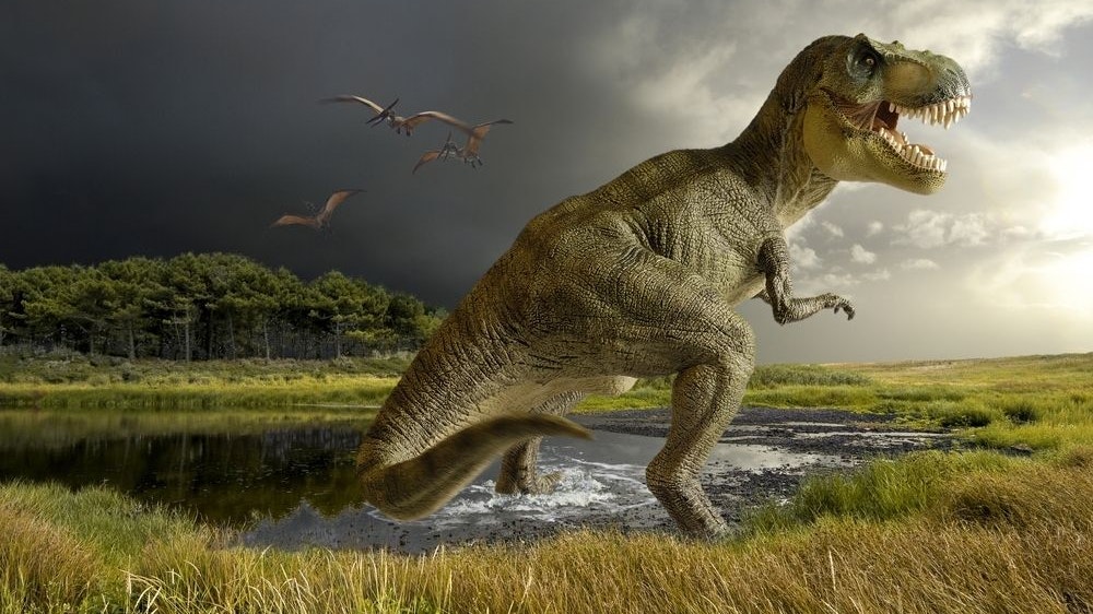 Heute.at - Dinosaurier furzten sich den Erdball warm