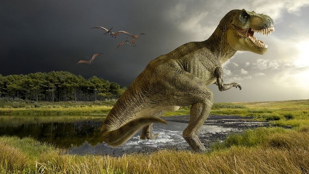 Dinosaurier lebten in der Zeit von üppigen Farnwäldern.