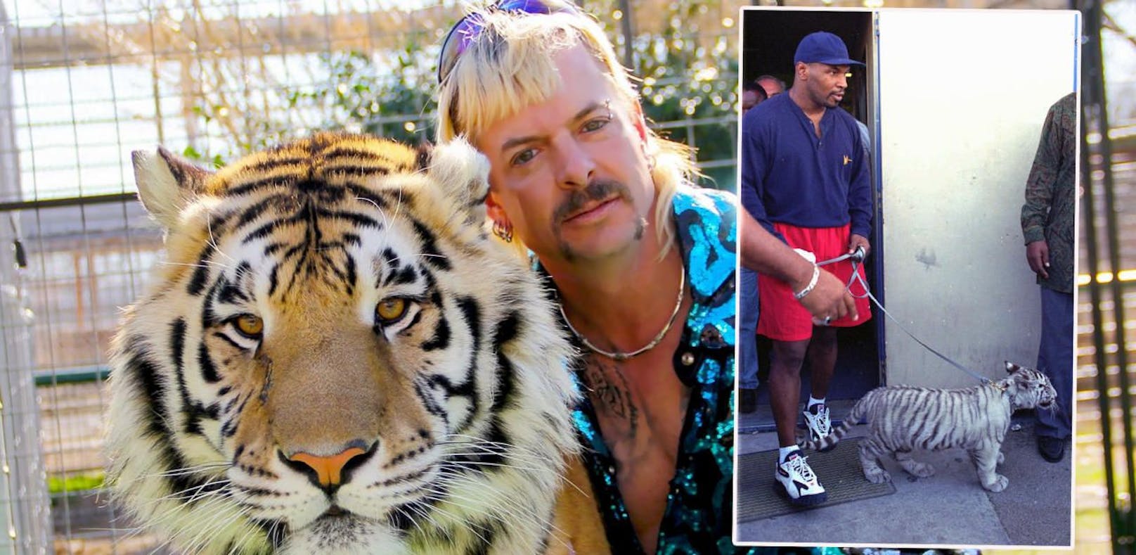 Netflix-Star Joe Exotic und Mike Tyson mit einem seiner Tiger.