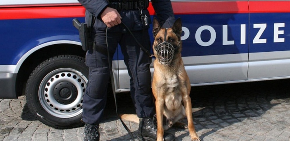 Auch die Diensthundestreife suchte nach dem Vermissten 9-Jährigen.