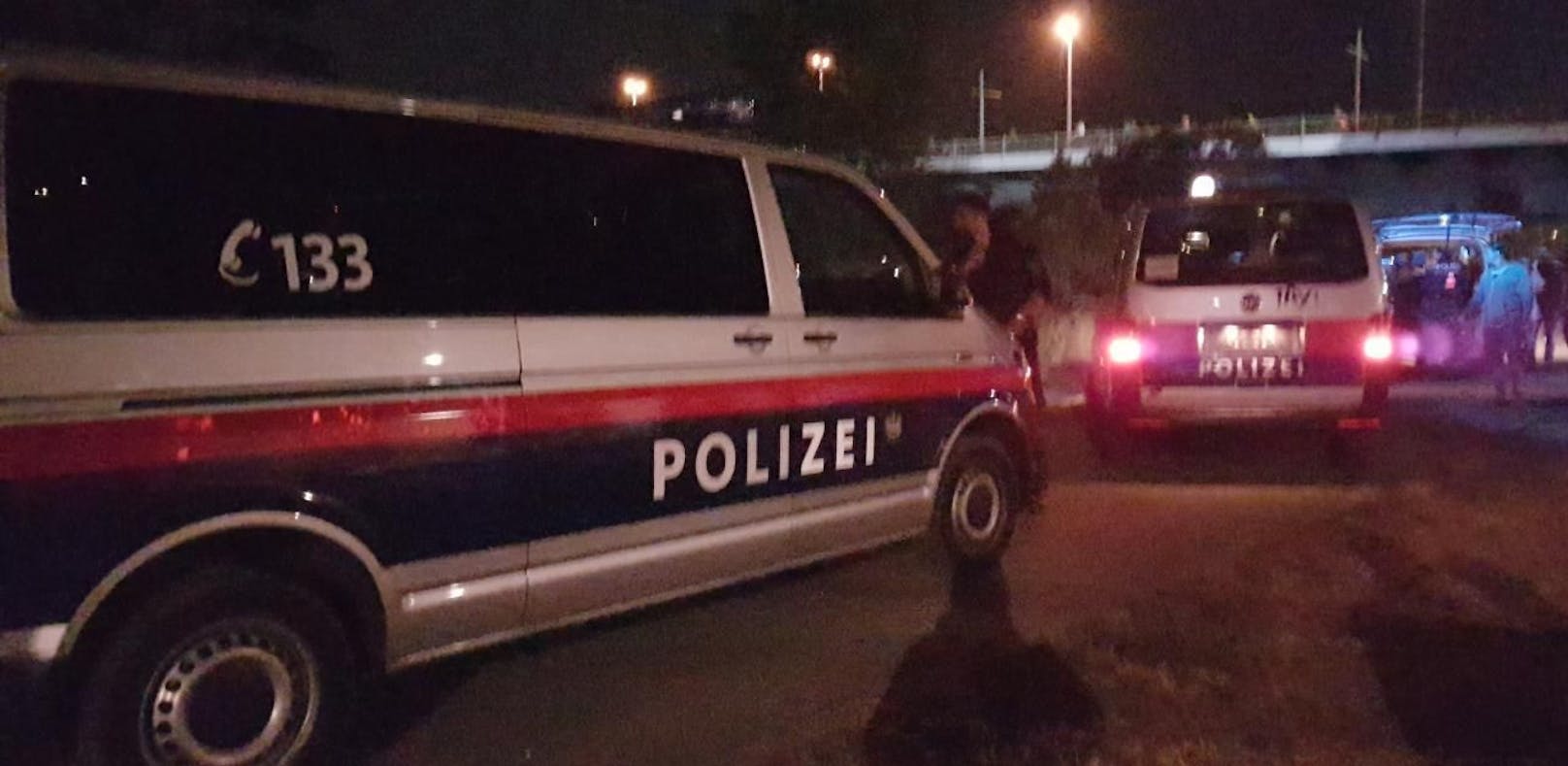Versuchte Vergewaltigung am Donauinselfest: Ein 18-Jähriger fiel über eine junge Frau her. 