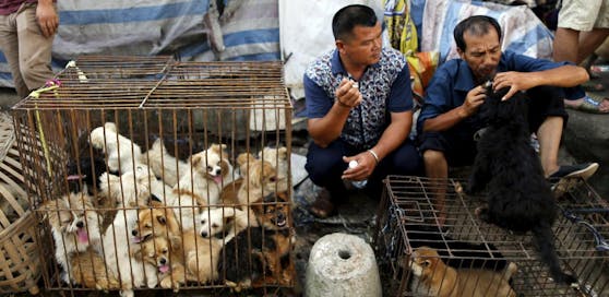 Händler warten auf Kunden, die ihnen die Hunde abkaufen, um sie dann zu essen.