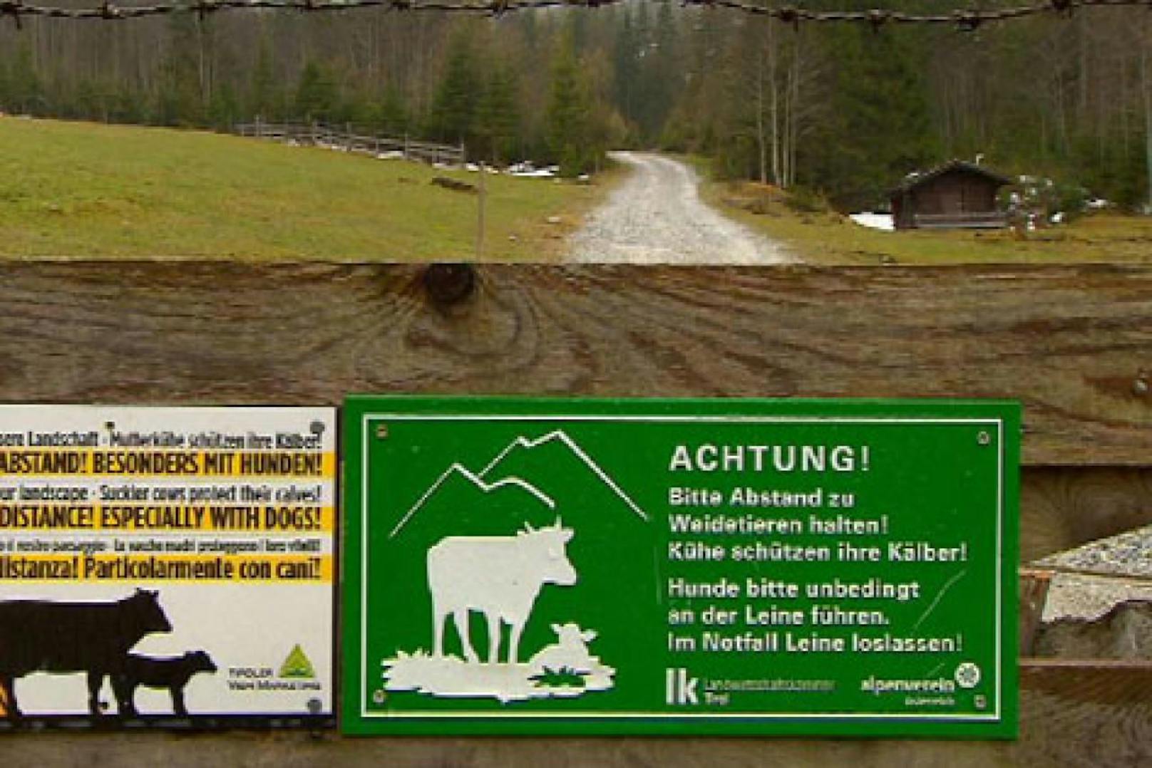 Kuh-Warnschilder für Almwanderer kommen