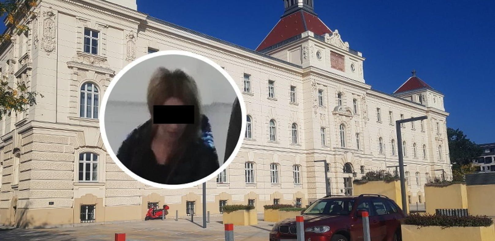 Die Frau stand in St. Pölten vor Gericht.