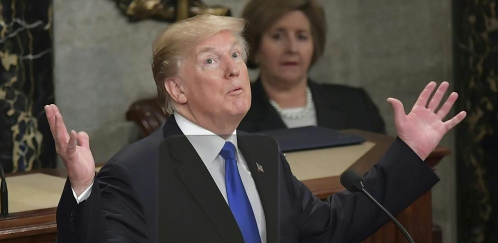US-Präsident Donald Trump bei seiner Rede zur "Lage der Union".