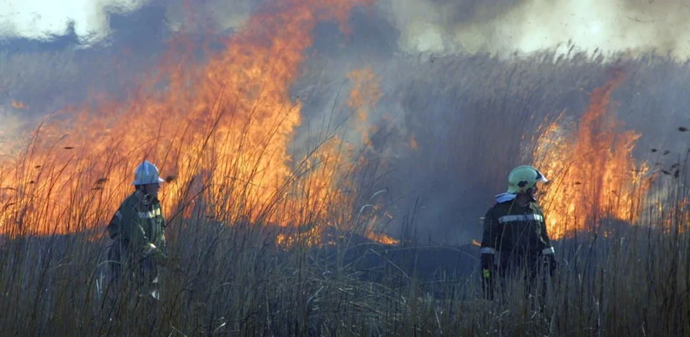 In Mörbisch kam es in der Nacht auf Dienstag zu einem Schilfbrand.
