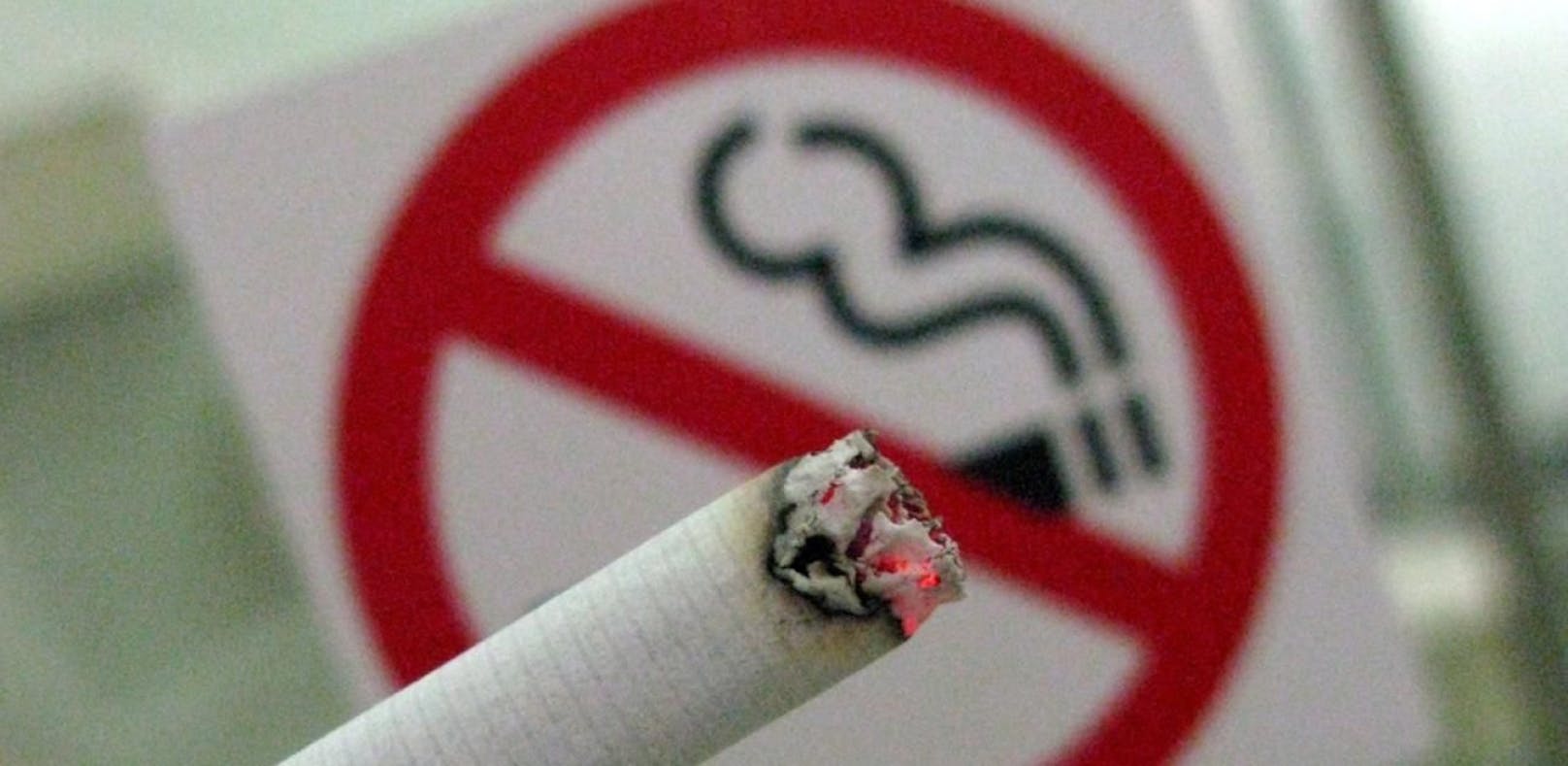 Die Wiener Ärztekammer will das Volk zum Rauchverbot befragen.