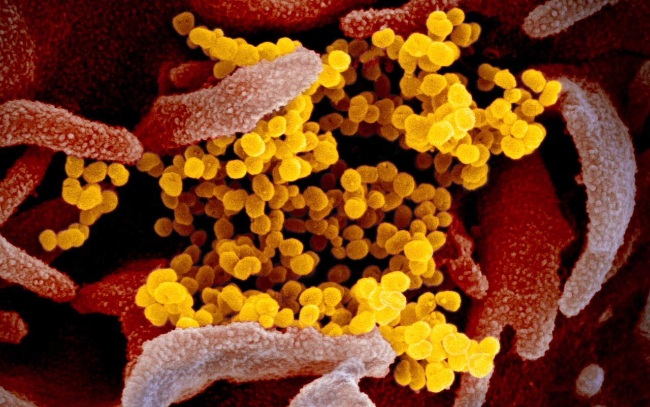 Heute.at - Deutsche haben 10 Mal so viele Corona-Fälle wie wir