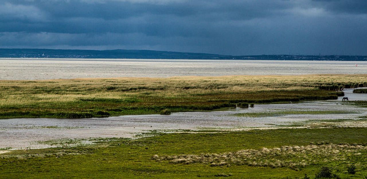 Heute.at - Schlummernde Granaten im Neusiedler See