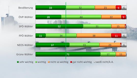 Wie wichtig ist das Thema Klimawandel für die Stimmabgabe?