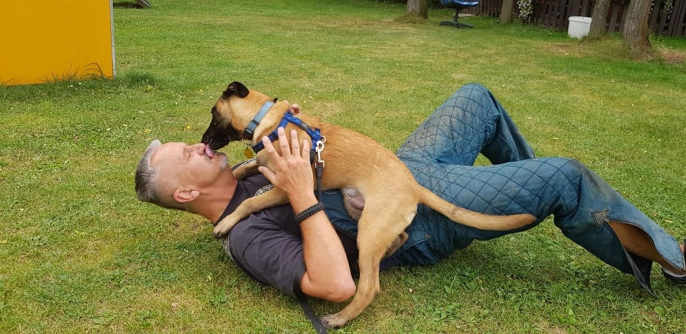 Hundetrainer Sticha: "Hunden das Markieren abzugewöhnen, wäre nicht artgerecht."