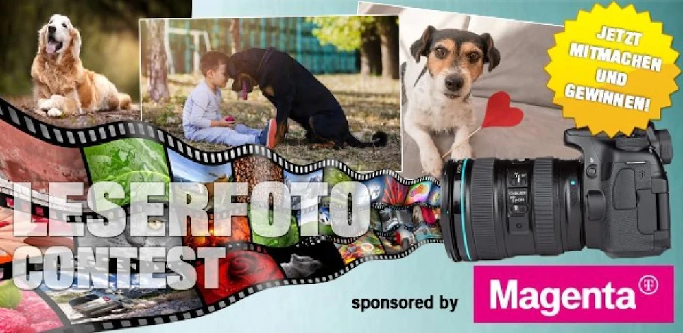 Jetzt Dein bestes Hundefoto einsenden & Smartphone gewinnen!