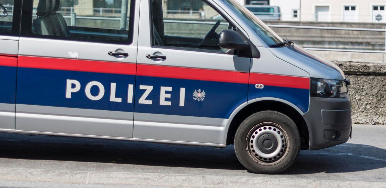 Polizeieinsatz in der Wiener City. Ein Mann (69) wurde vorläufig festgenommen. (Symbolbild).