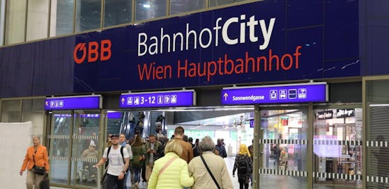 Am Wiener Hauptbahnhof wurde der Beschuldigte verhaftet. Symbolbild.&nbsp;