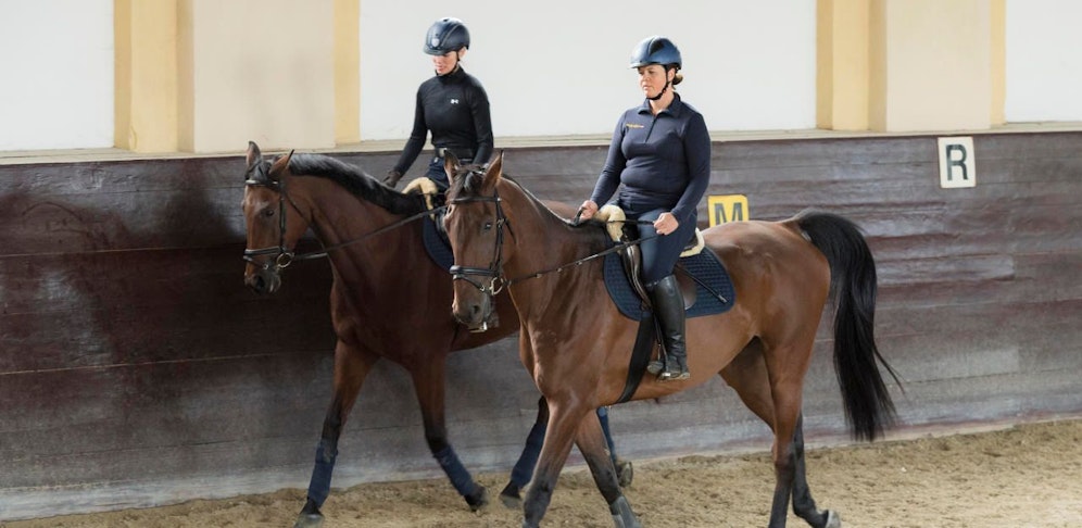 Polizisten bei der Ausbildung für die geplante berittene Wiener Polizeistaffel in der Reitanlage der Theresianischen Militärakademie (MilAk) in Wiener Neustadt am 02.10.2018