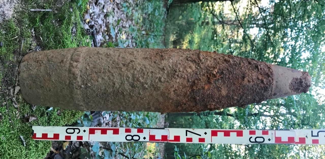 Heute.at - Spaziergänger findet Sprenggranate im Wald