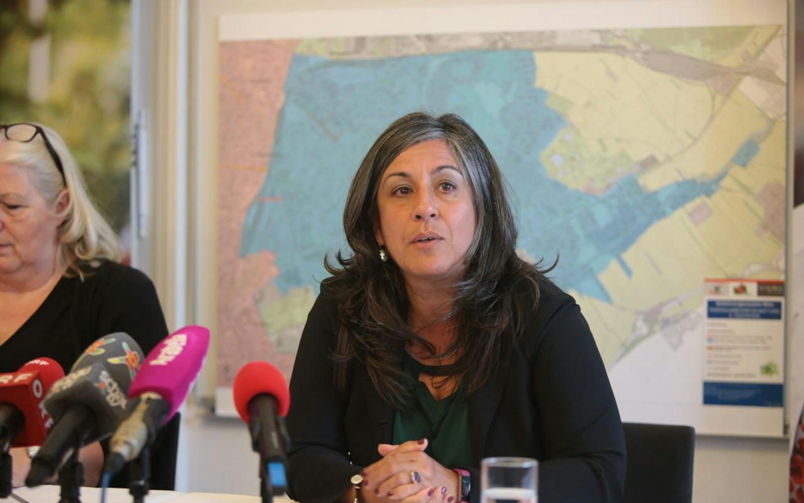 Vizebürgermeisterin Maria Vassilakou (Grüne): &quot;Die Parkpickerlbefragungen sind politische Spielchen auf dem Rücken der Bevölkerung.&quot;