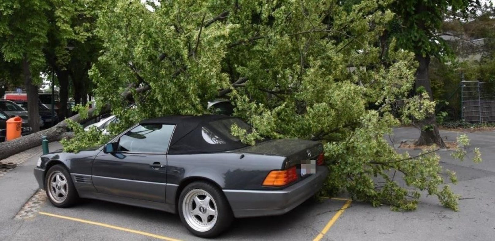 Sturm: Baum stürzt um, trifft Mercedes-Cabrio