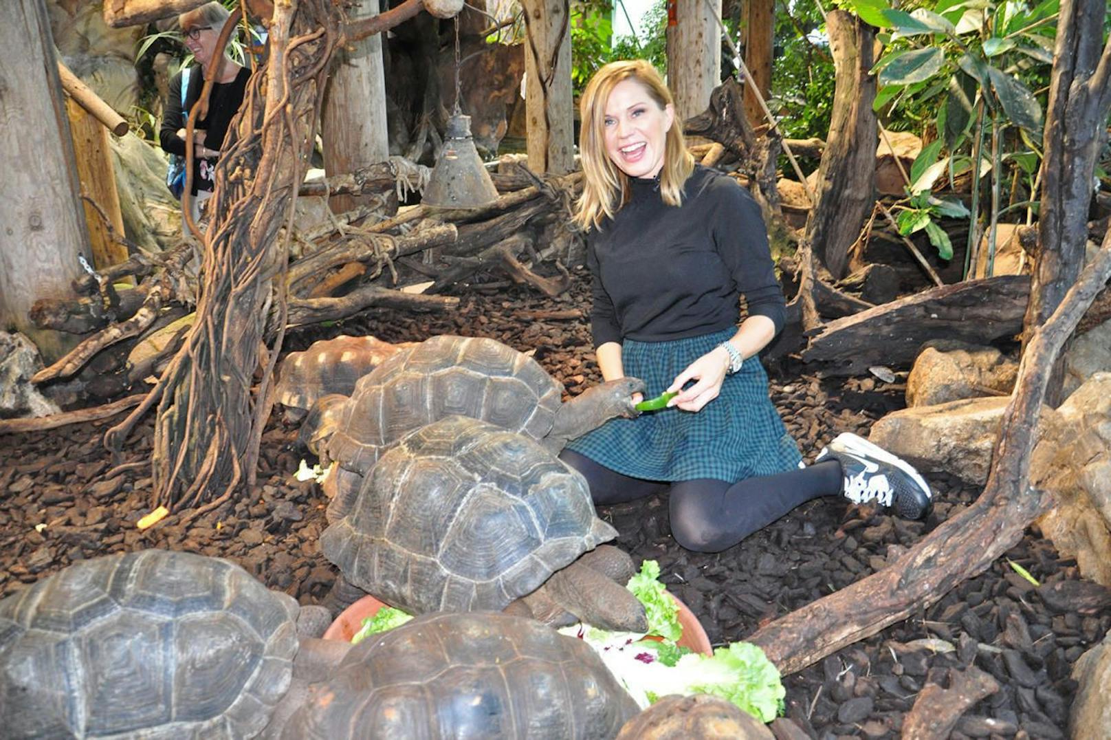 TV-Lady Johanna Setzer übernahm die Patenschaft für vier Aldabra-Riesenschildkröten im Haus des Meeres.