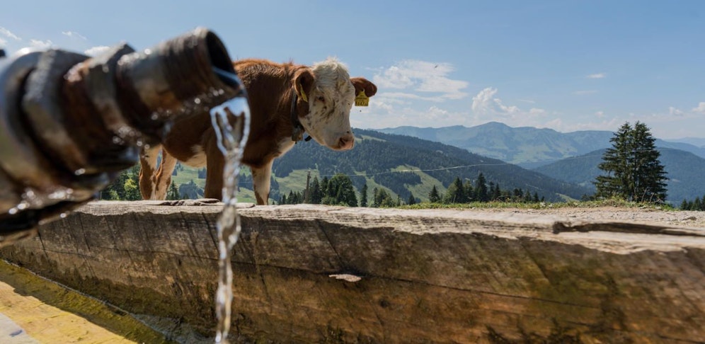 Im Sommer 2018 mussten einige Almen mit Trinkwasserlieferungen versorgt werden.